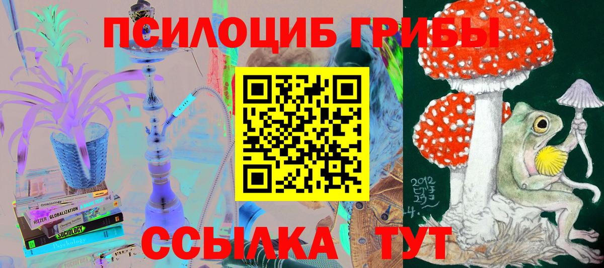 Псилоцибиновые грибы MAGIC MUSHROOMS  наркота  Сибай  Вход с VPN 